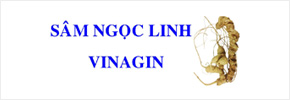 Cty CP Sâm Ngọc Linh